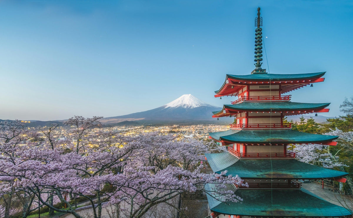 Discover the Joy of Japanese Snacks Delivered to Your Door – Candymail UK