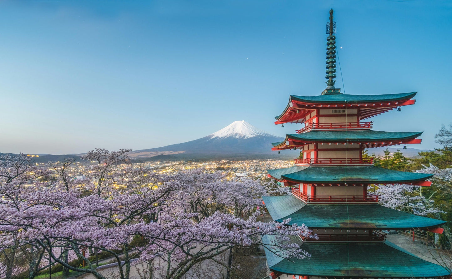 Discover the Joy of Japanese Snacks Delivered to Your Door
