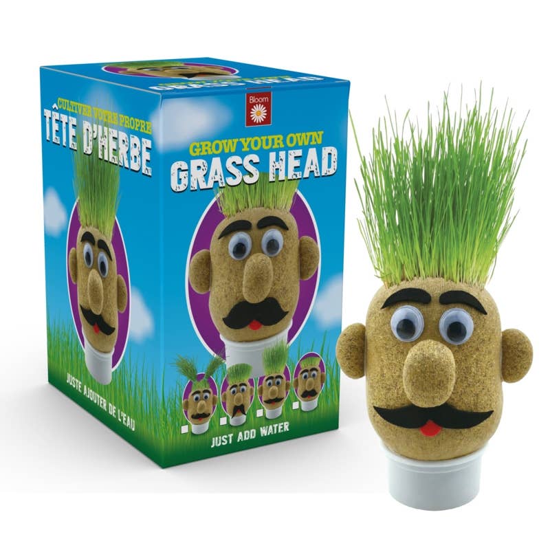 
                  
                    Grass Head – Grow Your Own Grass Hair Novelty Gift
                  
                