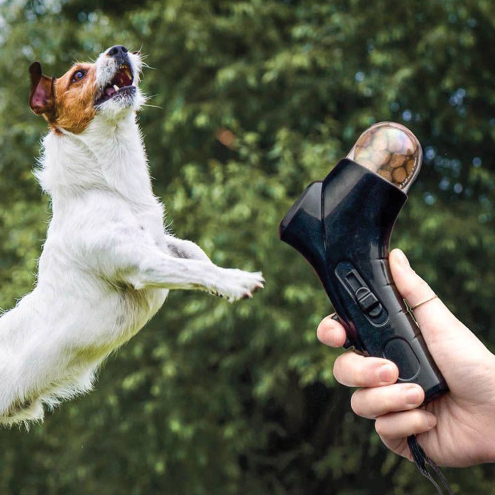 
                  
                    Pet Snack Launcher
                  
                