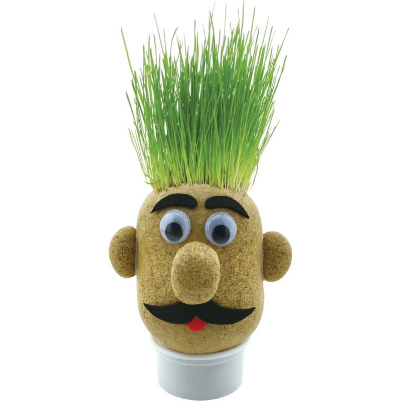 
                  
                    Grass Head – Grow Your Own Grass Hair Novelty Gift
                  
                