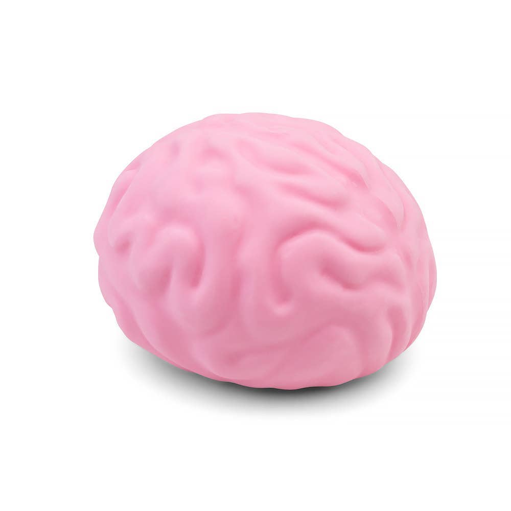 
                  
                    Giant Squishy Stress Brain
                  
                