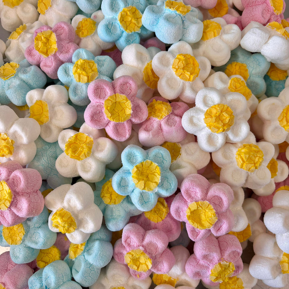 Freeze Dried Marshmallow Flowers