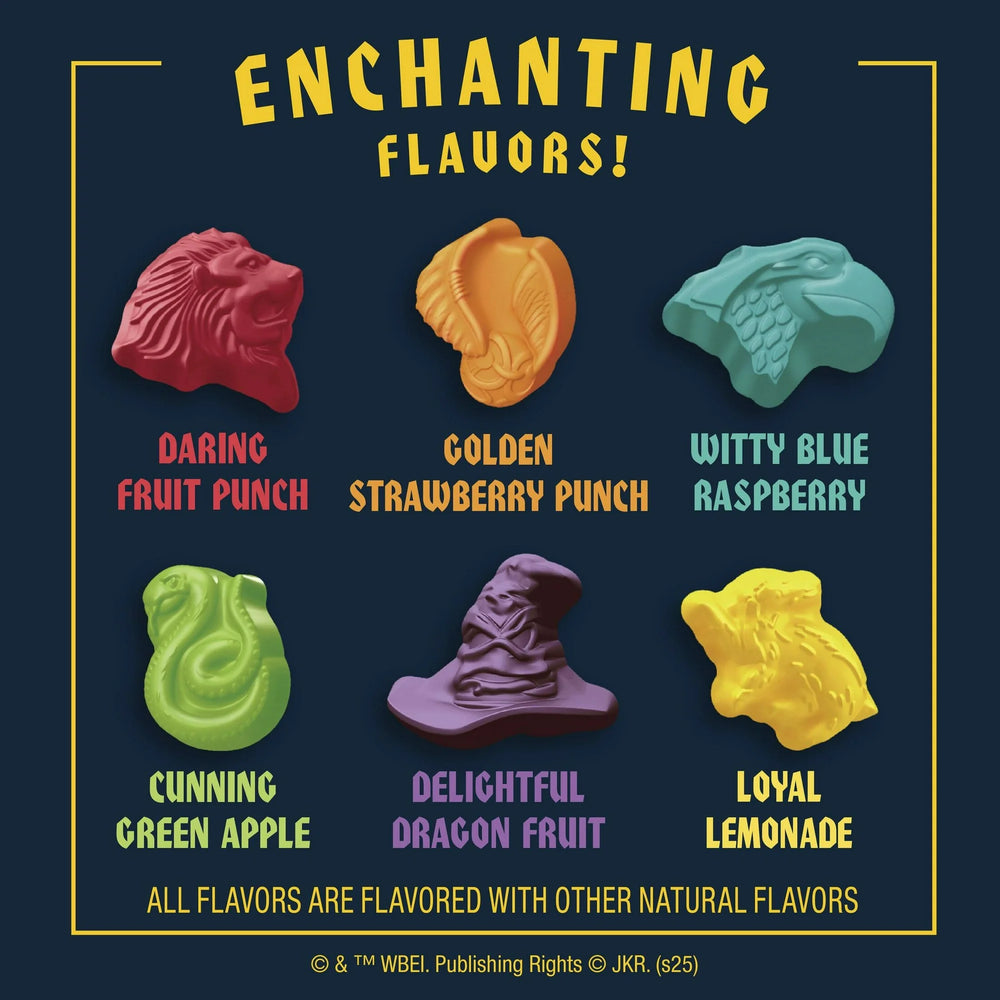 
                  
                    Harry Potter Fruit Flavored Snacks 22.6g
                  
                