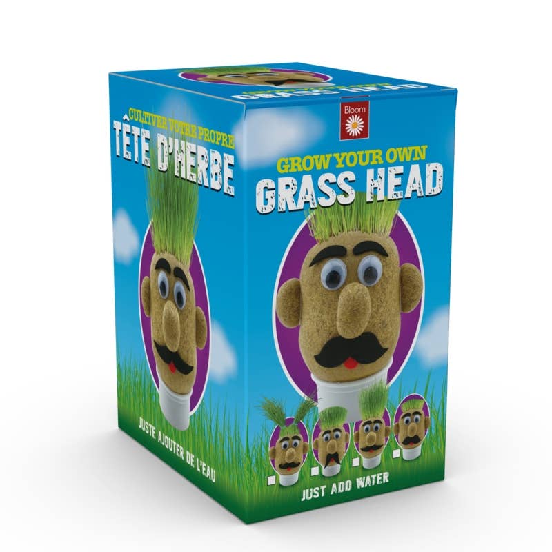 
                  
                    Grass Head – Grow Your Own Grass Hair Novelty Gift
                  
                