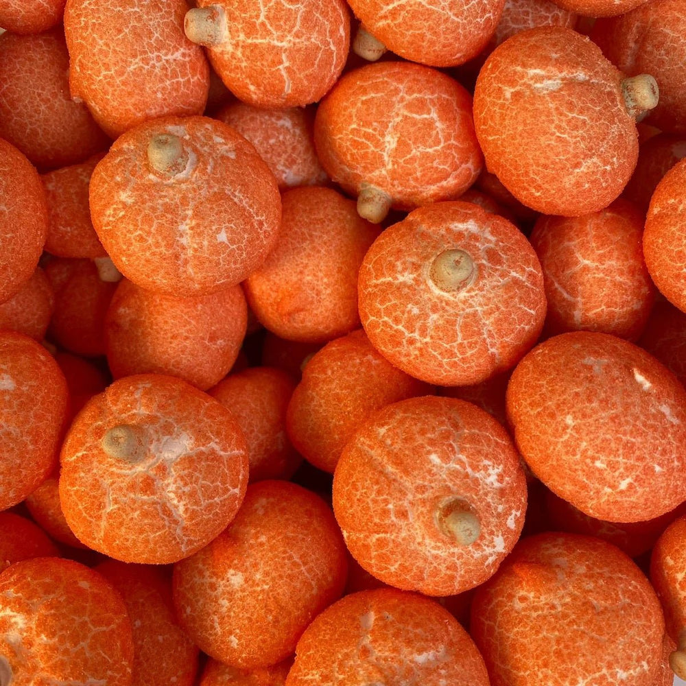 Freeze Dried Sweets - Pumpkin Mallows (4pcs) - Candy Mail UK